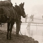 soldiers crossing bamboo bridge with mule