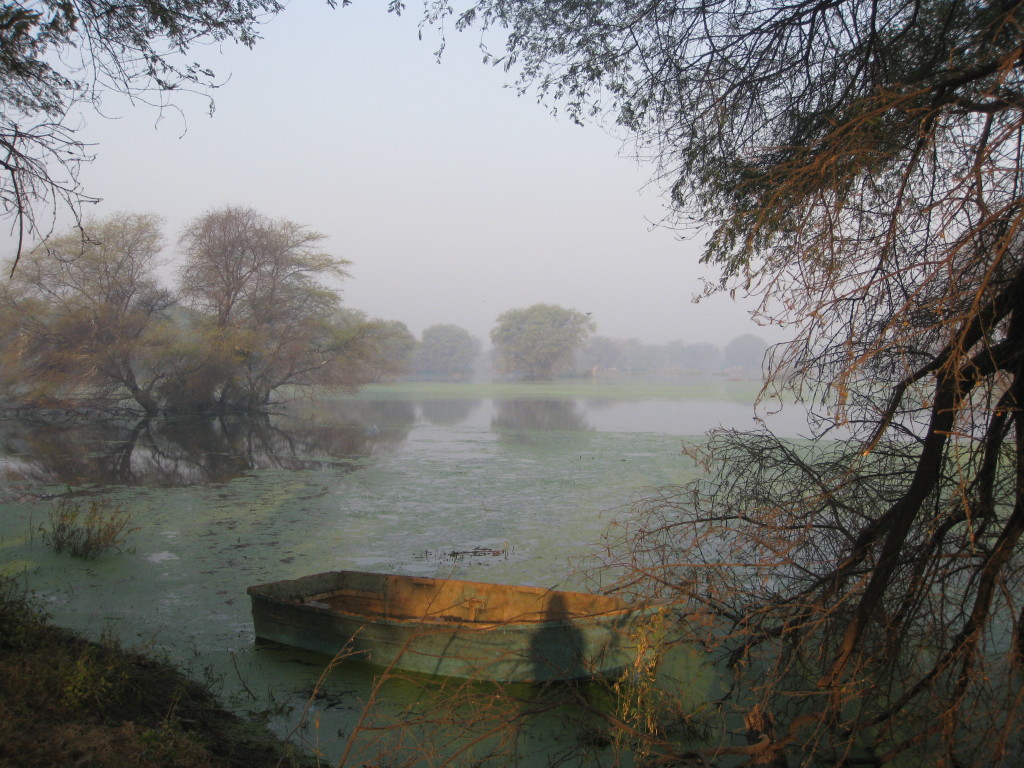 Keoladeo Park