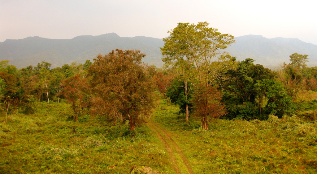 Jeep trail used by park rangers and Indian military