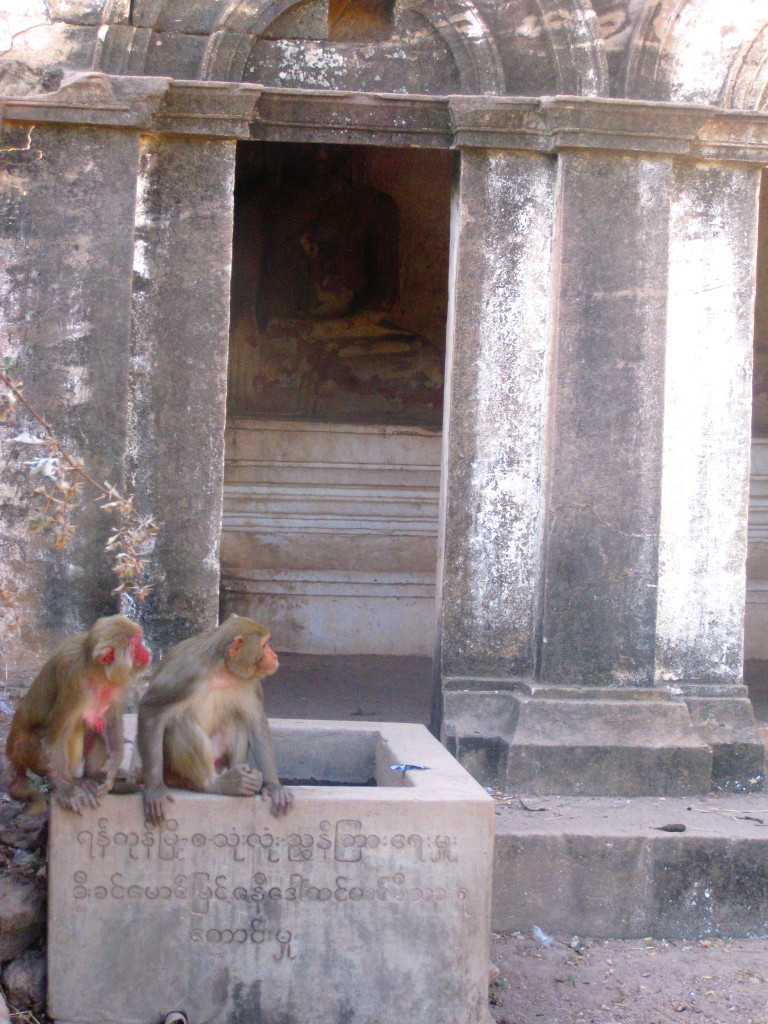 Monywa8 cave monkeys