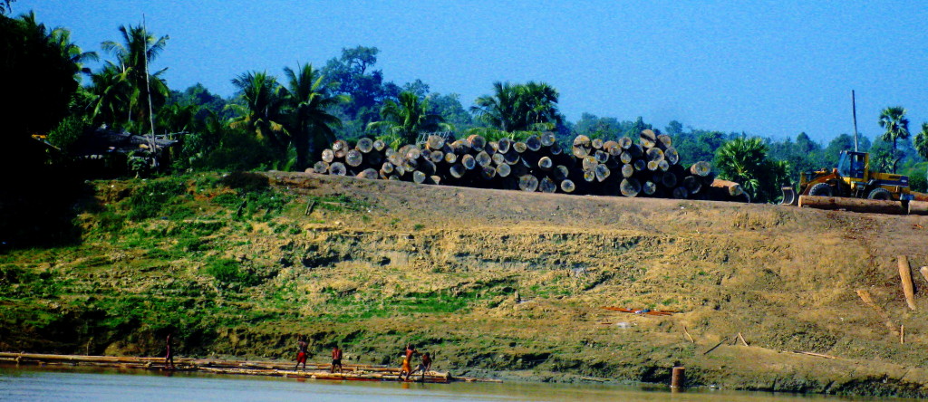 Dozer lining up logs while workers have some fun in the water.