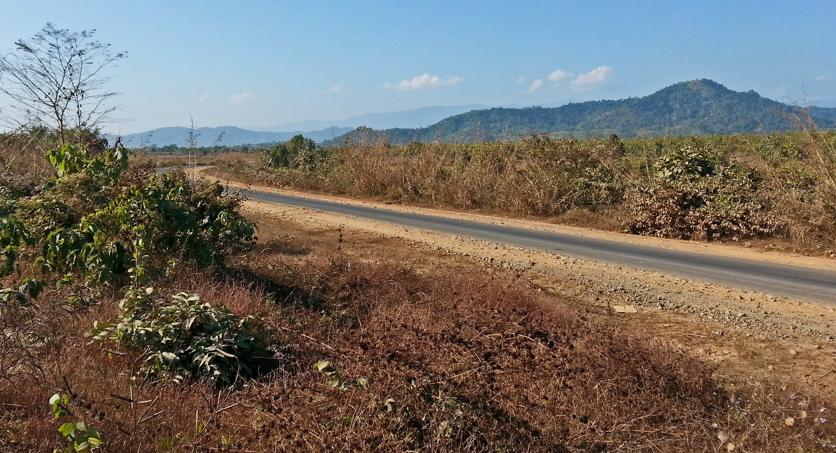 Road to Mogaung